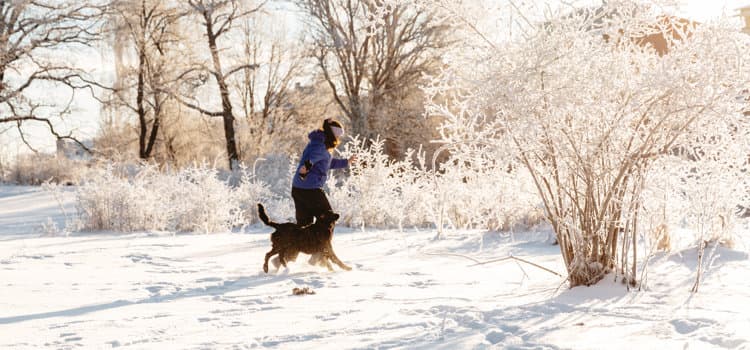 En person som rastar en hund i snön