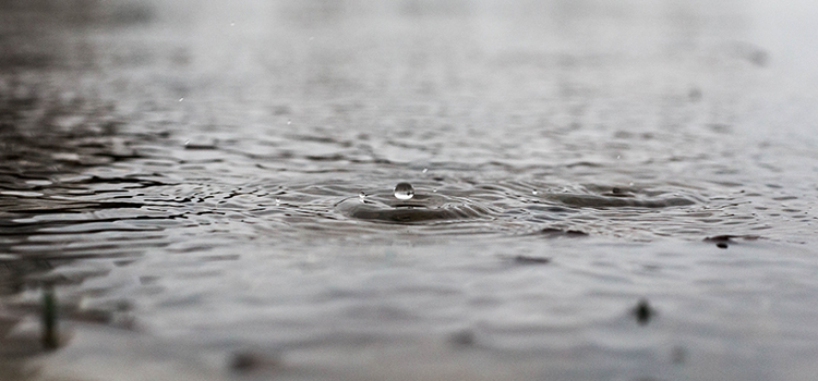 Bild på regndroppar mot vattenfylld mark