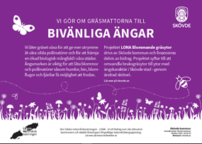 LONA Blommande gräsytor (2021-2023)
